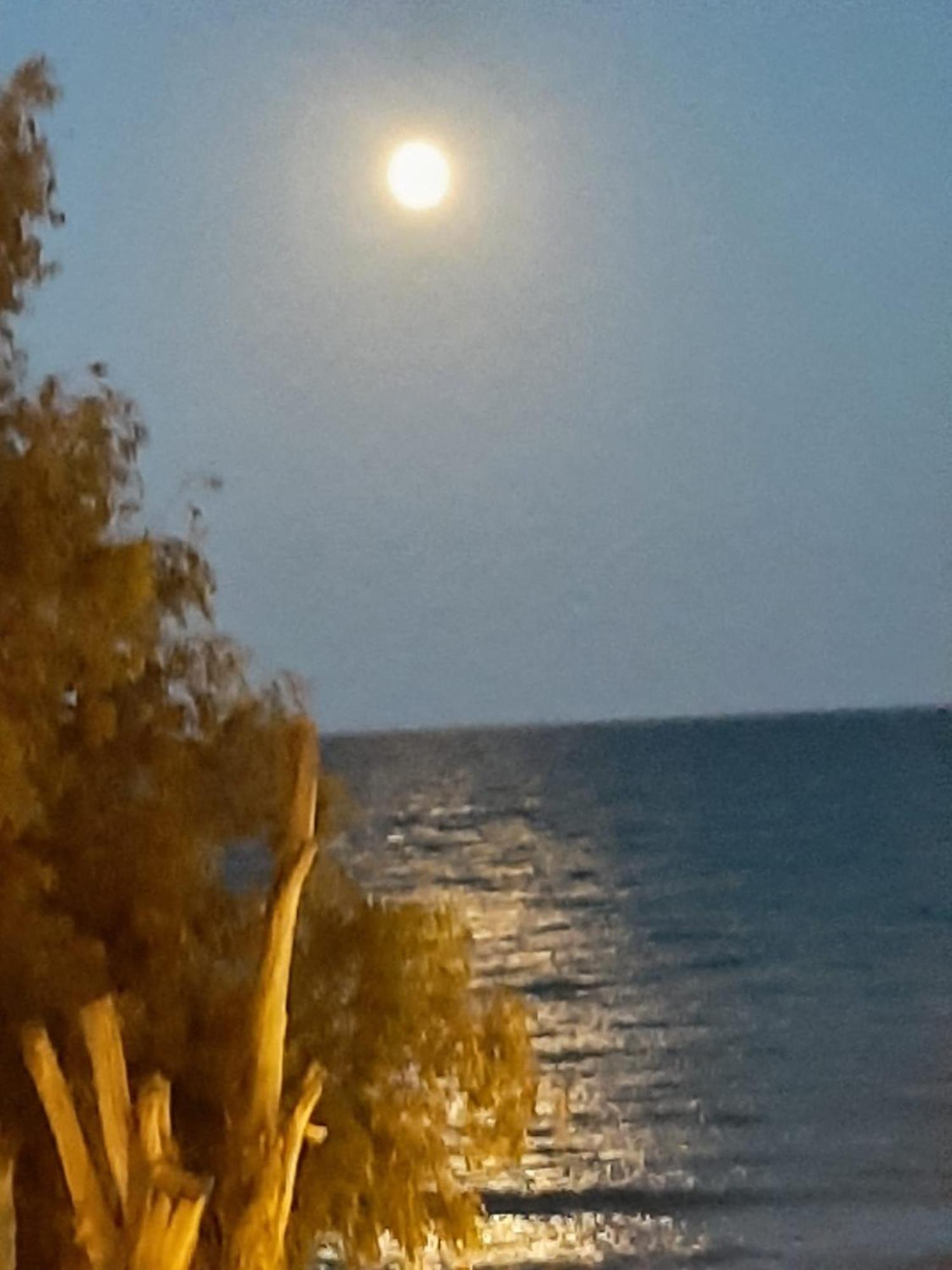 טורבייחה Nice Apartment With Terrace On The Los Locos Beach מראה חיצוני תמונה